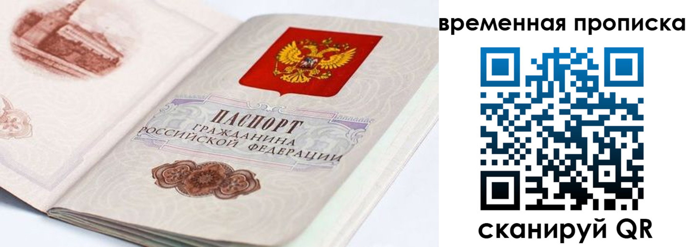 прописка 2025 в Кировске